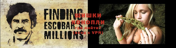 мдпв Вязники