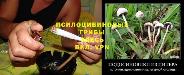 прущая мука Вязьма