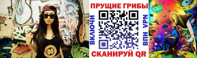 закладки  Вичуга  Галлюциногенные грибы Psilocybe 
